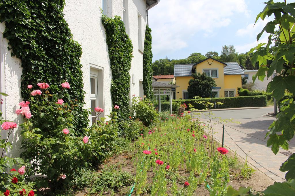 Baltisches Haus Pension Moll Zinnowitz Kültér fotó
